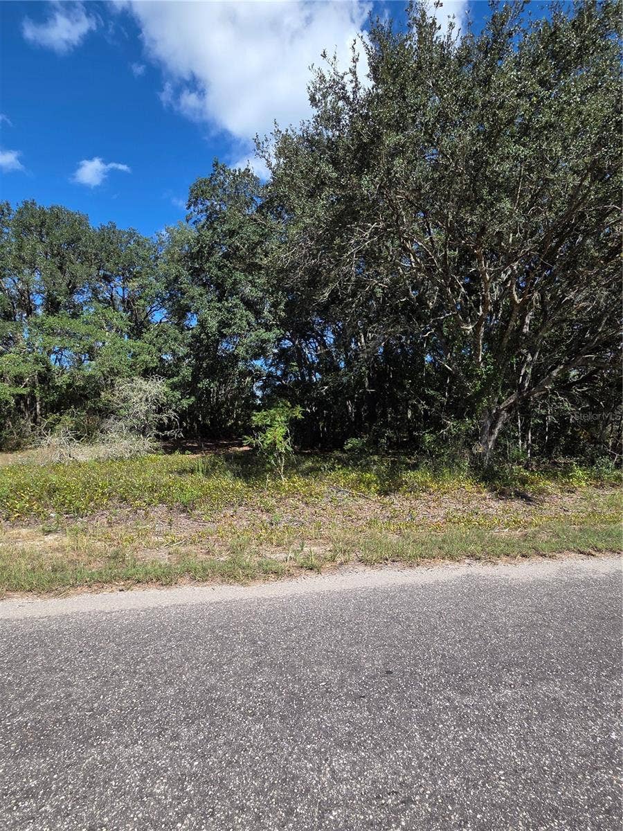115 STREET ROAD, Ocklawaha, FL 32179 115 STREET ROAD, Ocklawaha, FL 32179