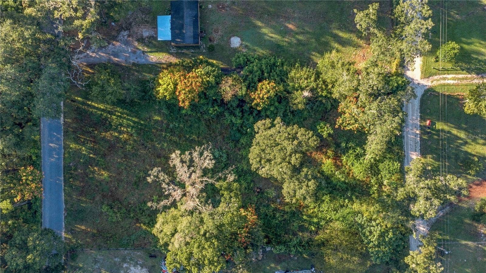 16612 SE 25TH AVENUE, Summerfield, FL 34491 16612 SE 25TH AVENUE, Summerfield, FL 34491