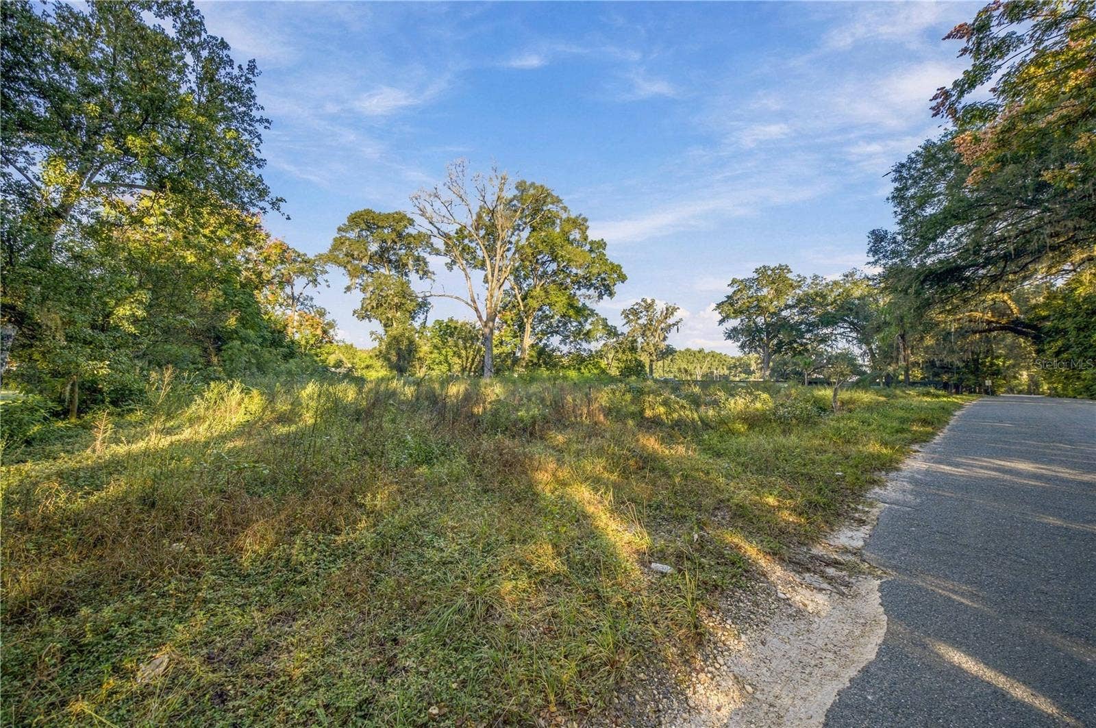 16612 SE 25TH AVENUE, Summerfield, FL 34491 16612 SE 25TH AVENUE, Summerfield, FL 34491