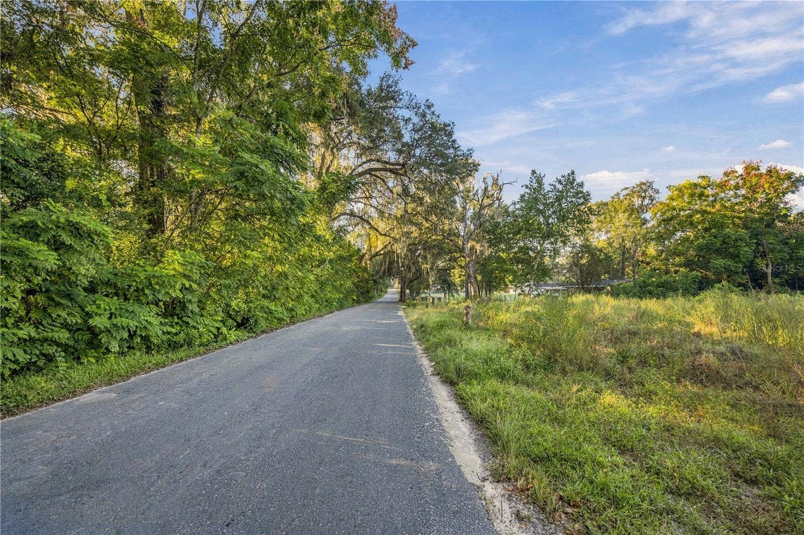 16612 SE 25TH AVENUE, Summerfield, FL 34491 16612 SE 25TH AVENUE, Summerfield, FL 34491