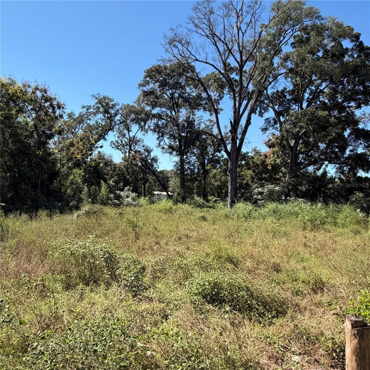16612 SE 25TH AVENUE, Summerfield, FL 34491 16612 SE 25TH AVENUE, Summerfield, FL 34491