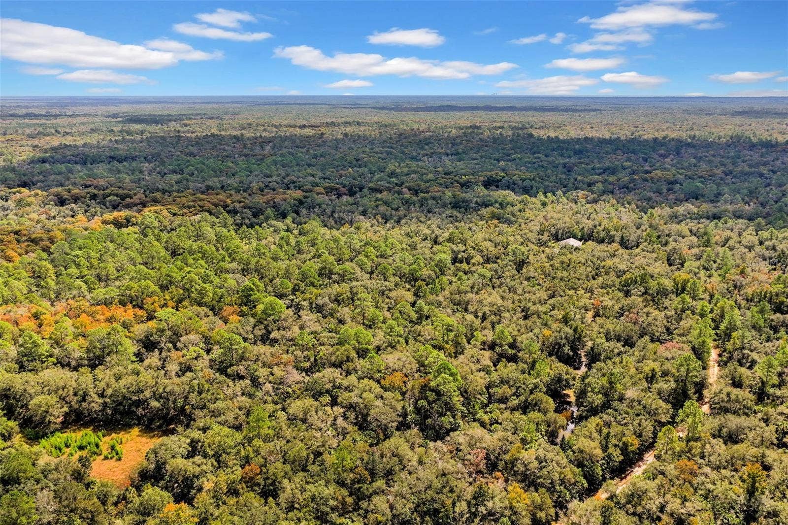 122 Tract SW BUCK TRAIL RD, Chiefland, FL 32626