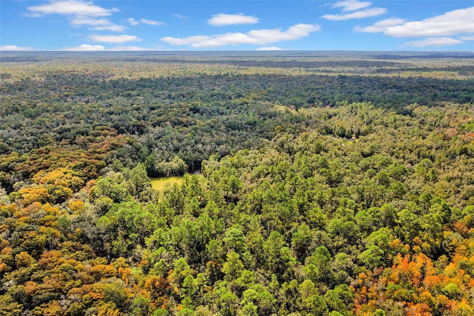 122 Tract SW BUCK TRAIL RD, Chiefland, FL 32626