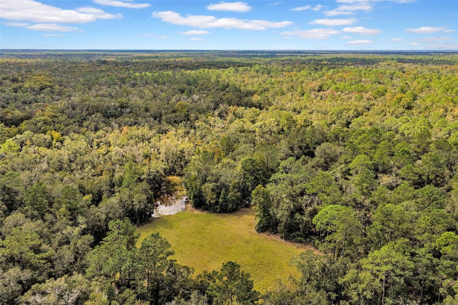 122 Tract SW BUCK TRAIL RD, Chiefland, FL 32626