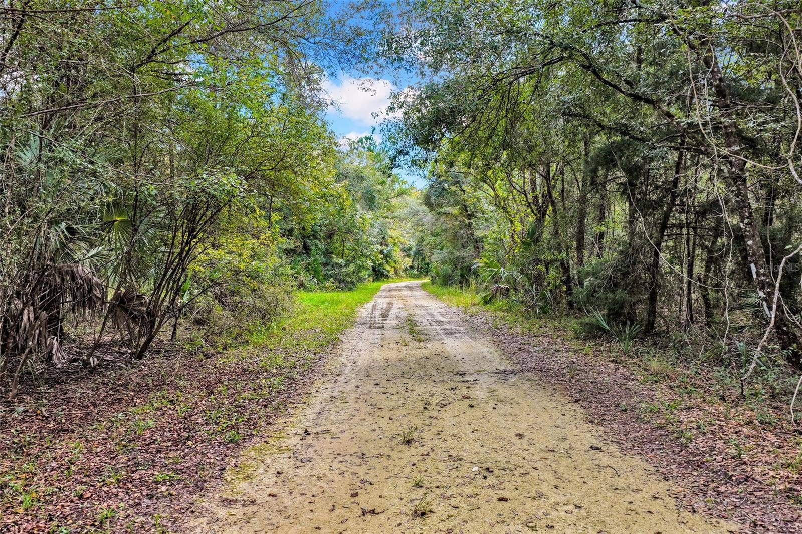 122 Tract SW BUCK TRAIL RD, Chiefland, FL 32626