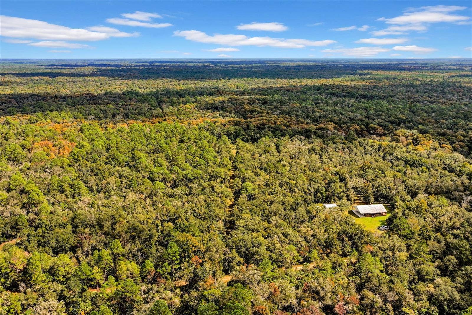 122 Tract SW BUCK TRAIL RD, Chiefland, FL 32626
