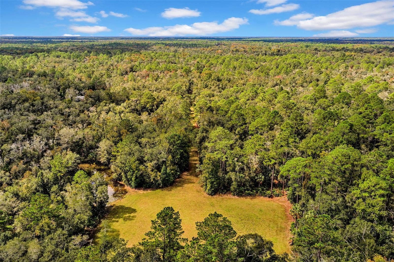 122 Tract SW BUCK TRAIL RD, Chiefland, FL 32626