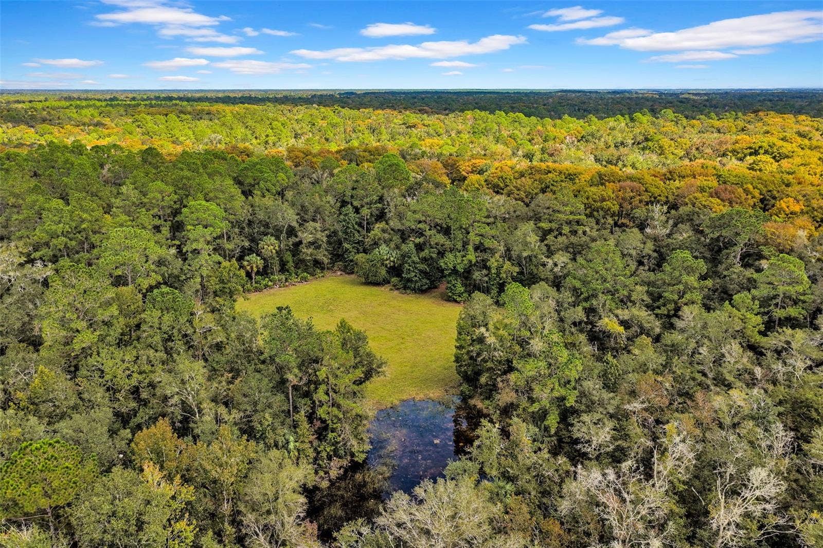 122 Tract SW BUCK TRAIL RD, Chiefland, FL 32626