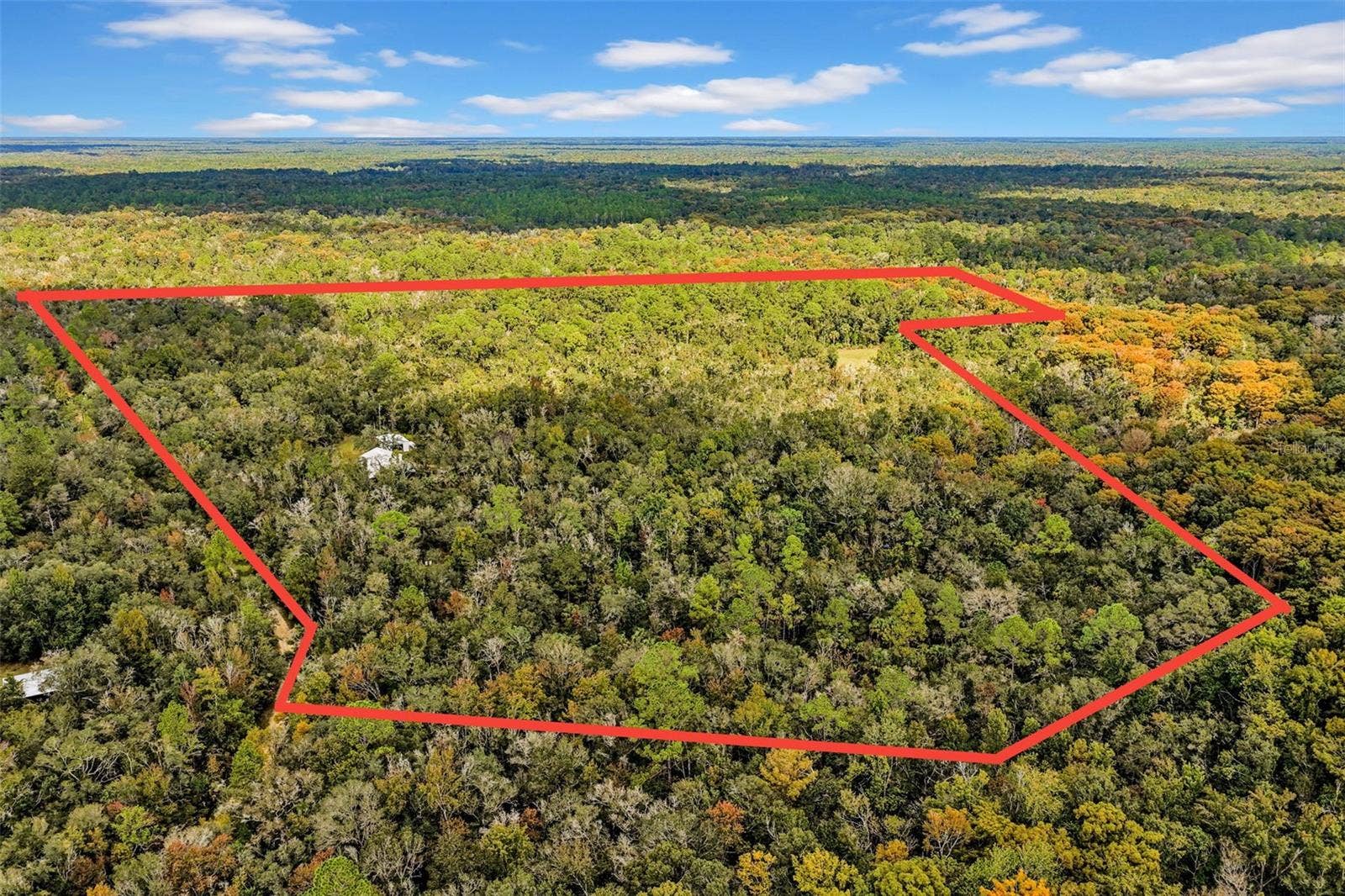 122 Tract SW BUCK TRAIL RD, Chiefland, FL 32626