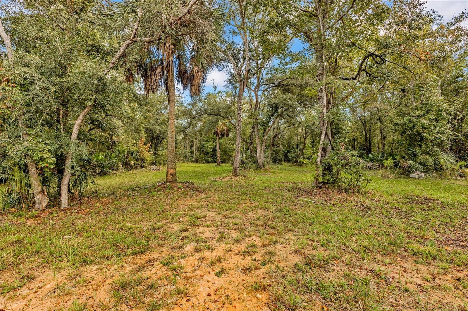 122 Tract SW BUCK TRAIL RD, Chiefland, FL 32626