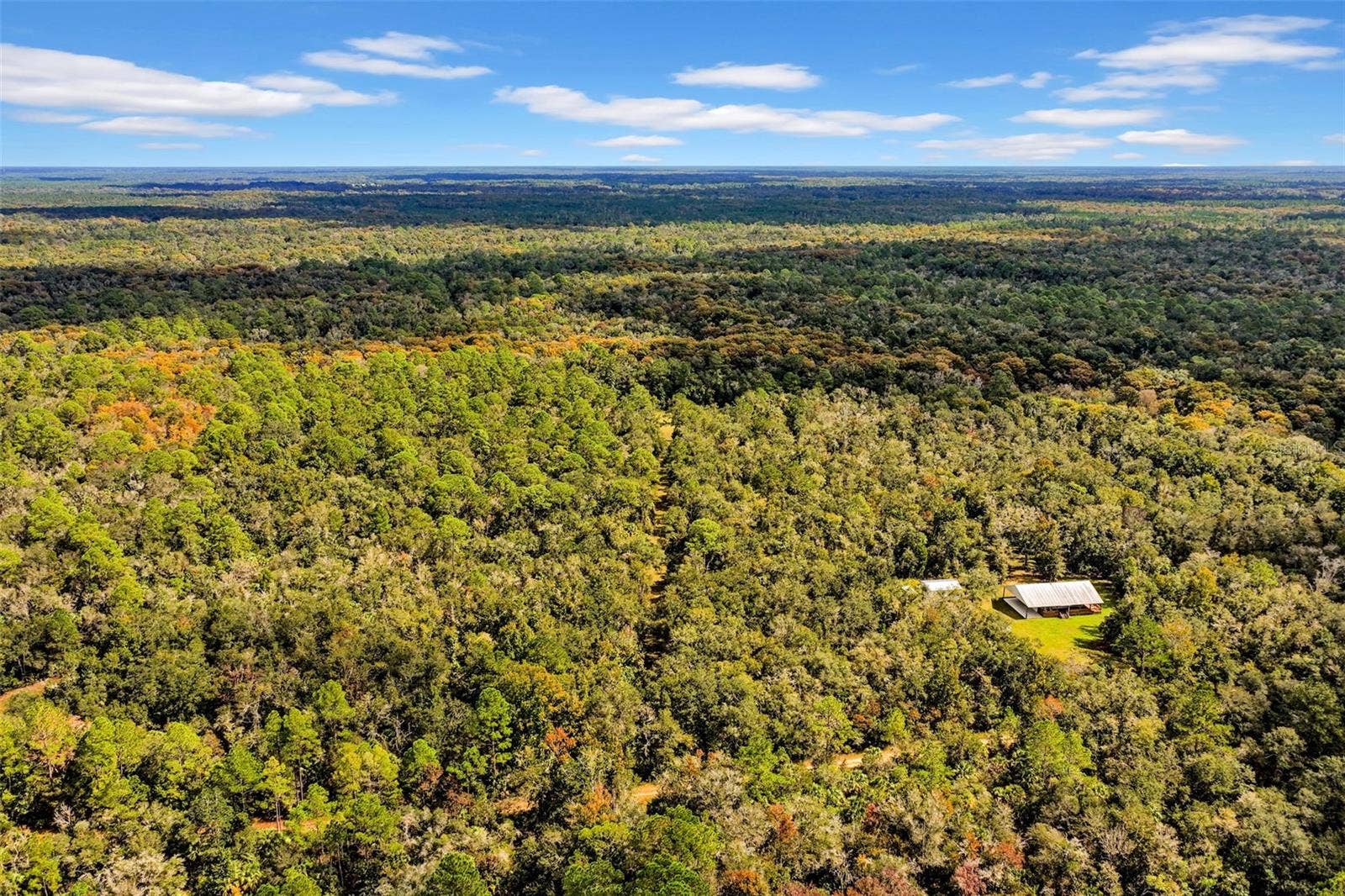 122 Tract SW BUCK TRAIL RD, Chiefland, FL 32626