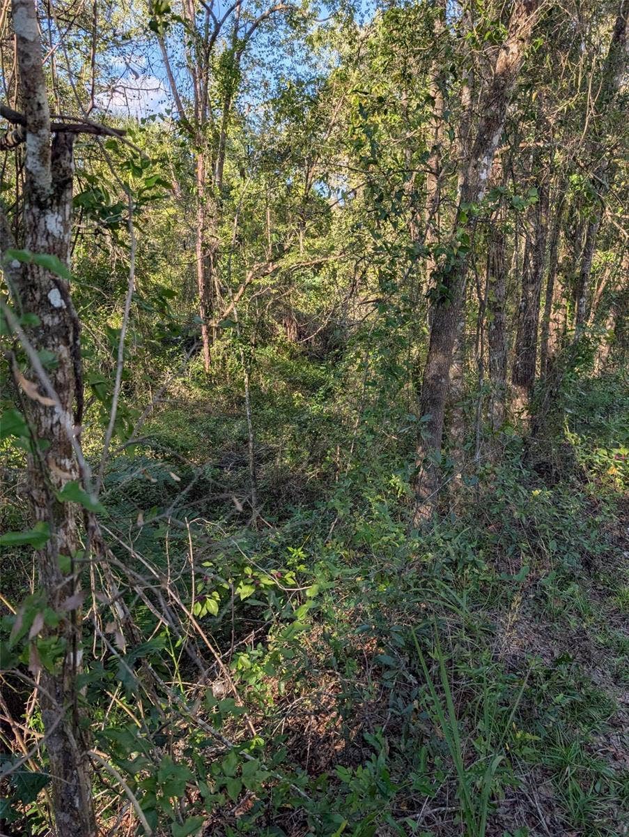 0 ARCHER RD, Archer, FL 32618 0 ARCHER RD, Archer, FL 32618