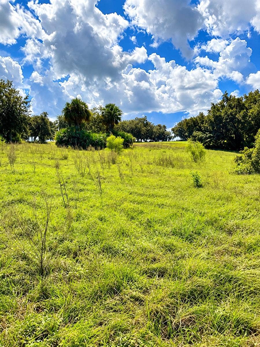 LAKE BURNS ROAD, Umatilla, FL 32784