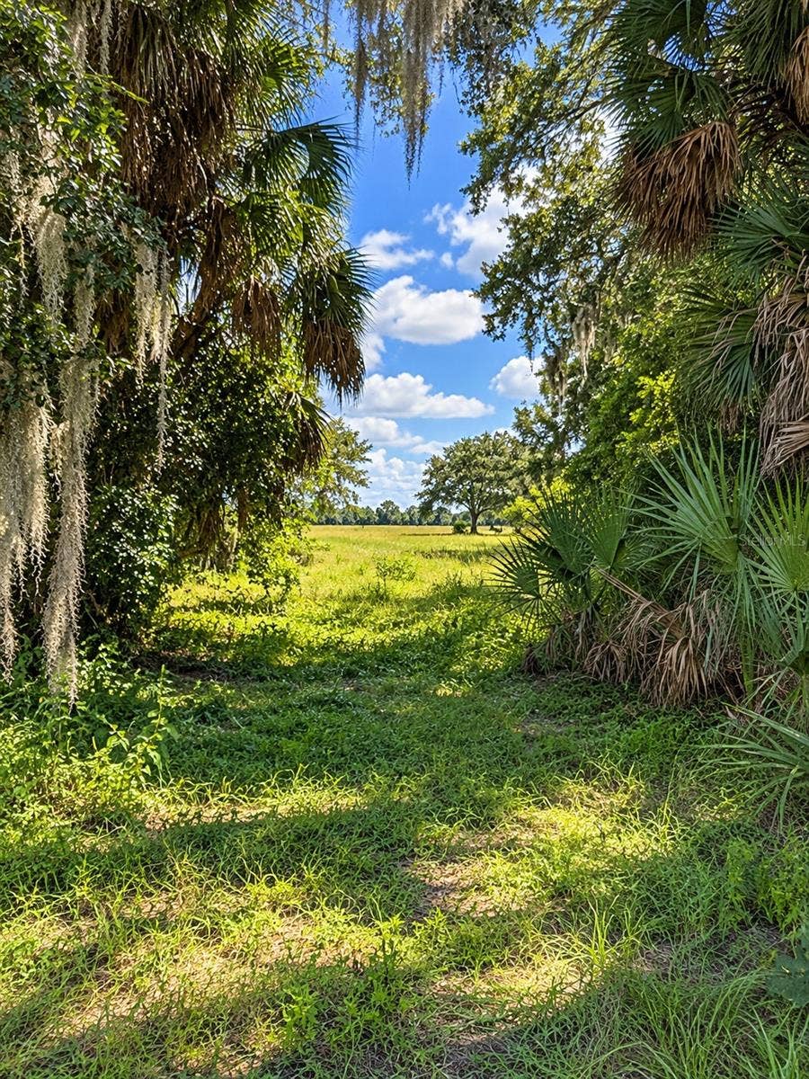 LAKE BURNS ROAD, Umatilla, FL 32784