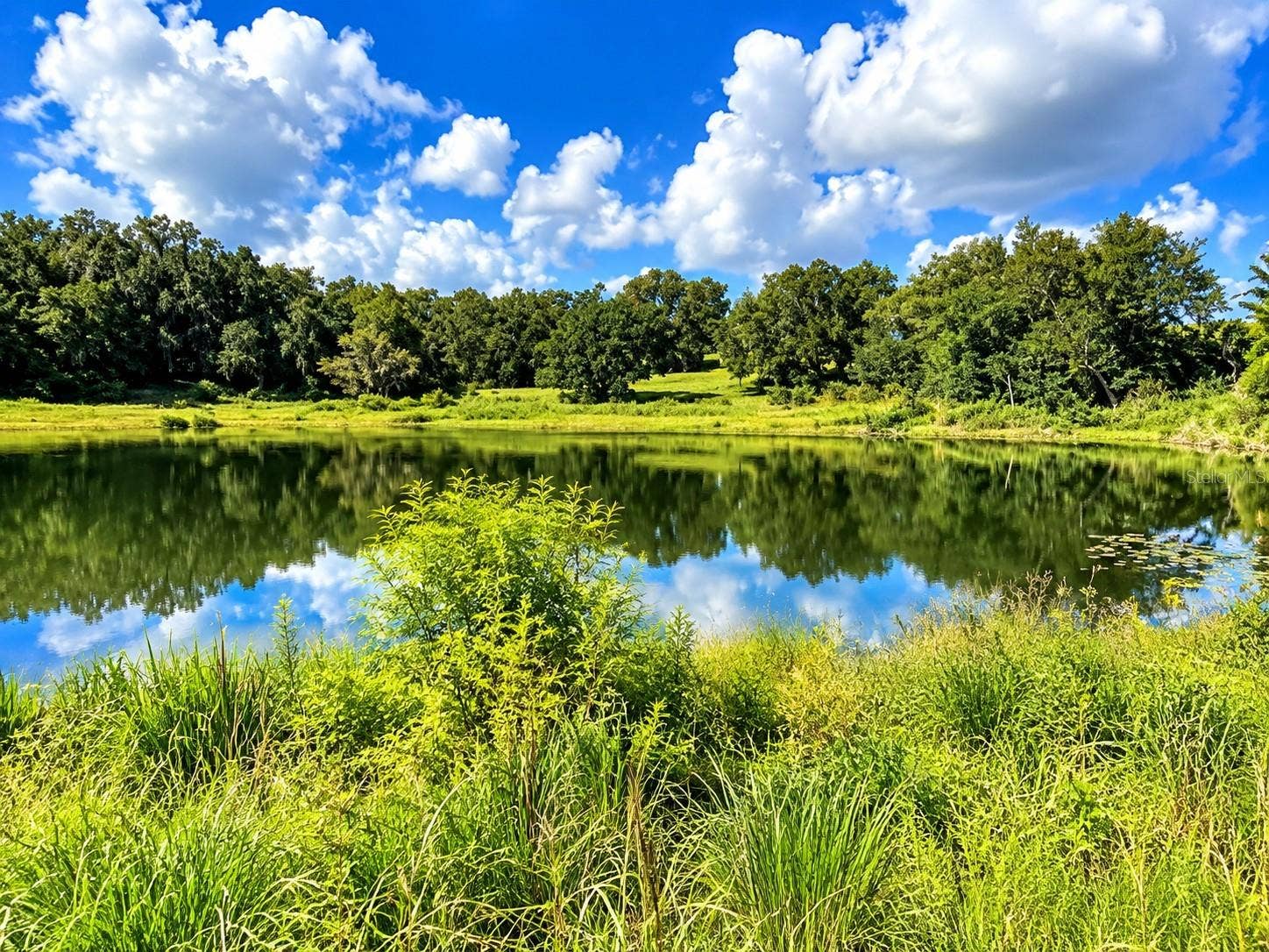 LAKE BURNS ROAD, Umatilla, FL 32784