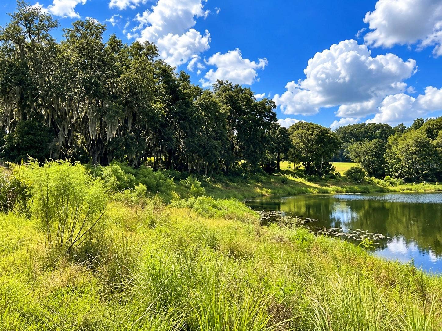 LAKE BURNS ROAD, Umatilla, FL 32784