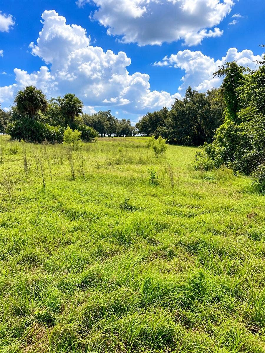 LAKE BURNS ROAD, Umatilla, FL 32784