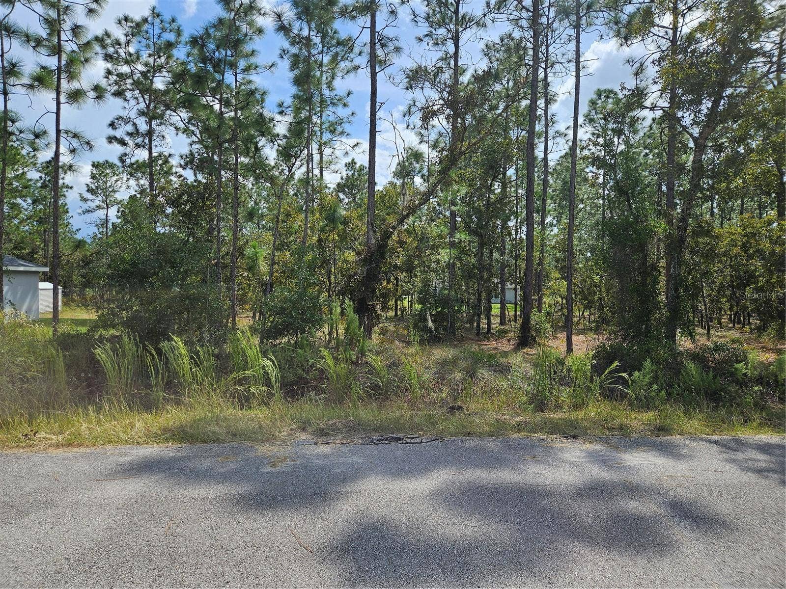 NW TAMARIND LANE, Dunnellon, FL 34431