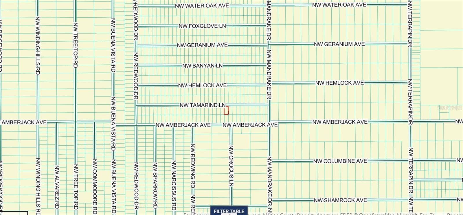 NW TAMARIND LANE, Dunnellon, FL 34431