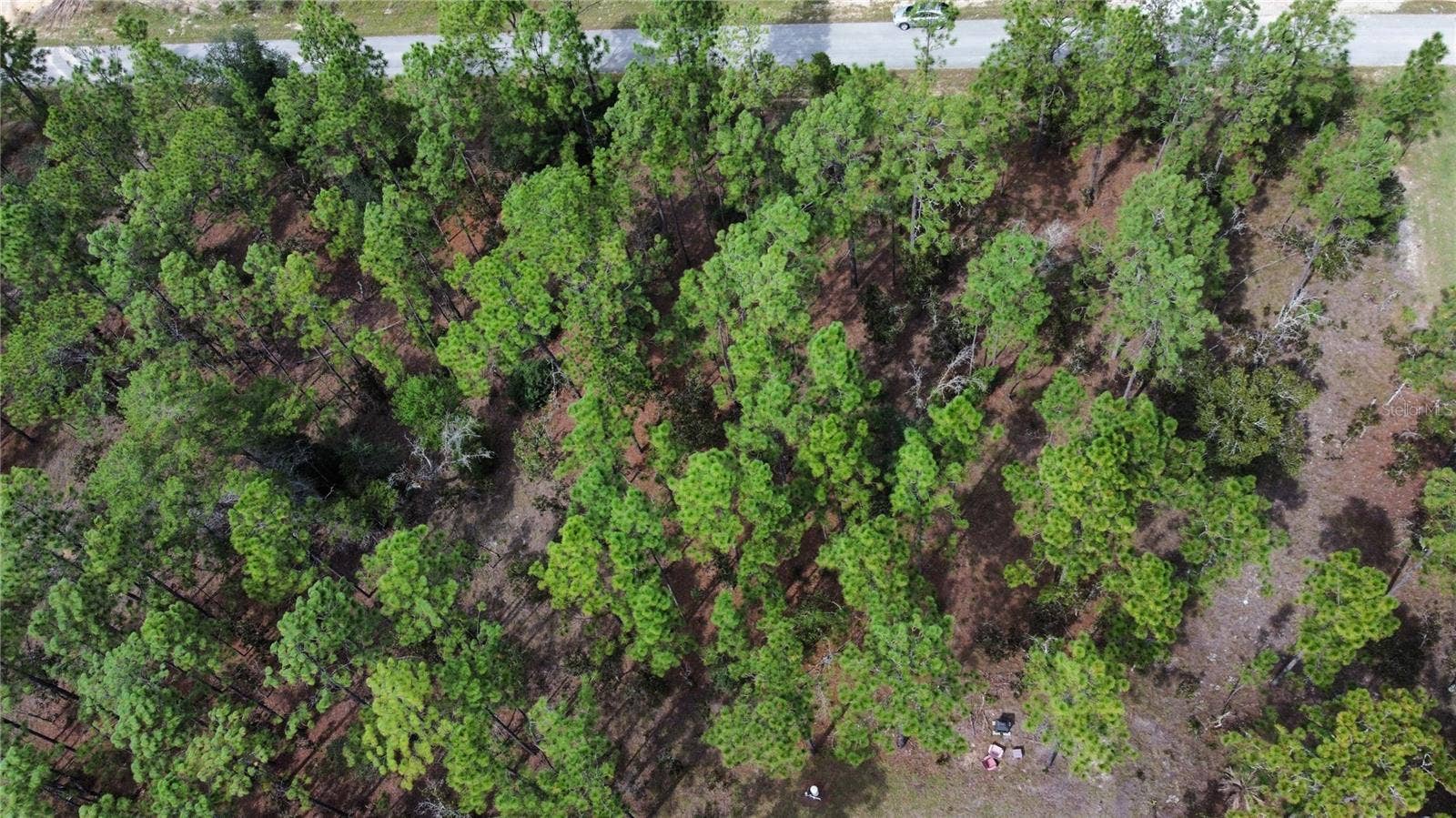 NW TAMARIND LANE, Dunnellon, FL 34431
