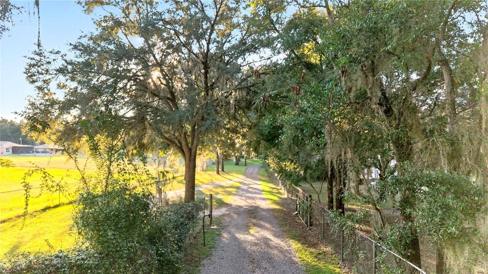 6410 NE 25TH AVENUE, Ocala, FL 34479 Driveway to Property