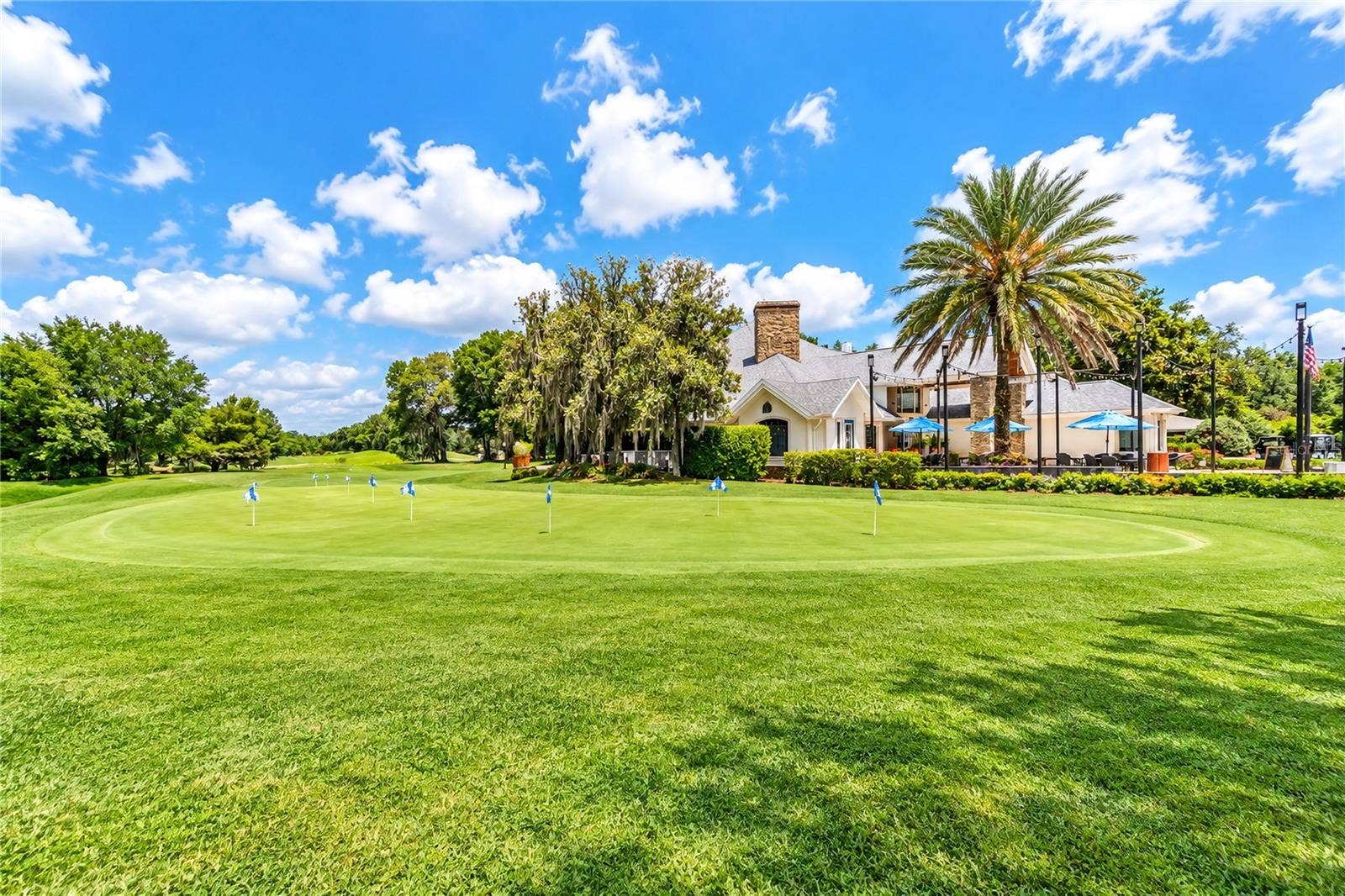 8169 SW 108TH LANE ROAD, Ocala, FL 34481 Golf Course Community