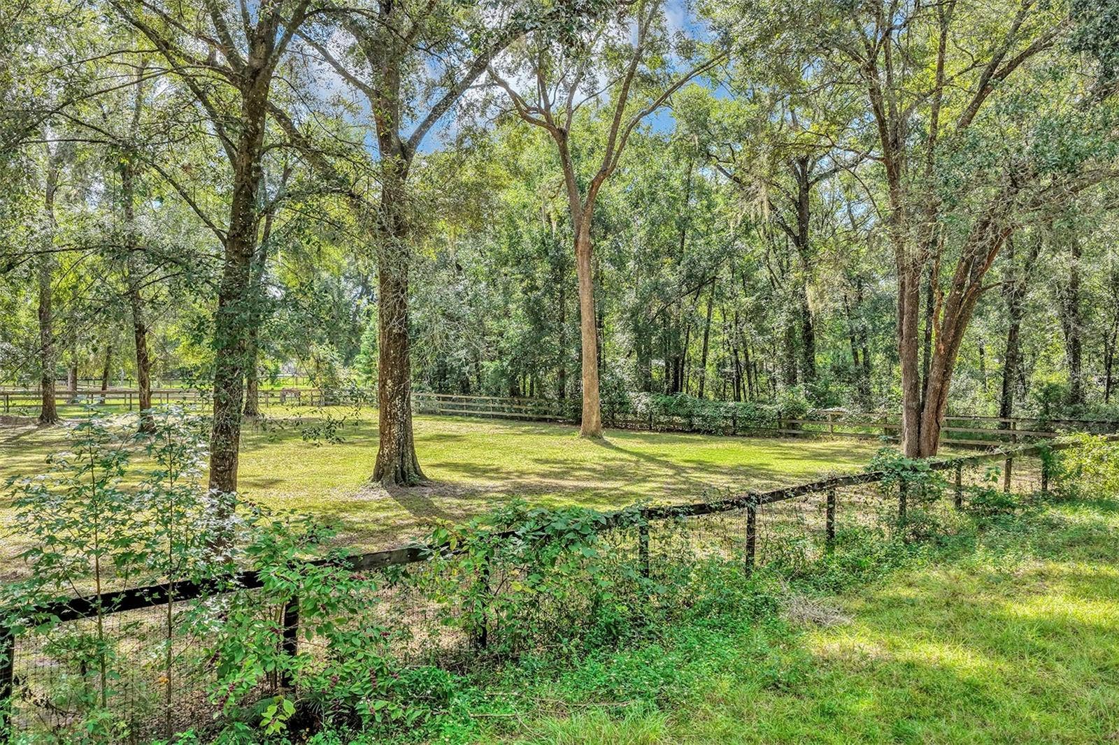 9320 NW 125TH AVENUE, Ocala, FL 34482