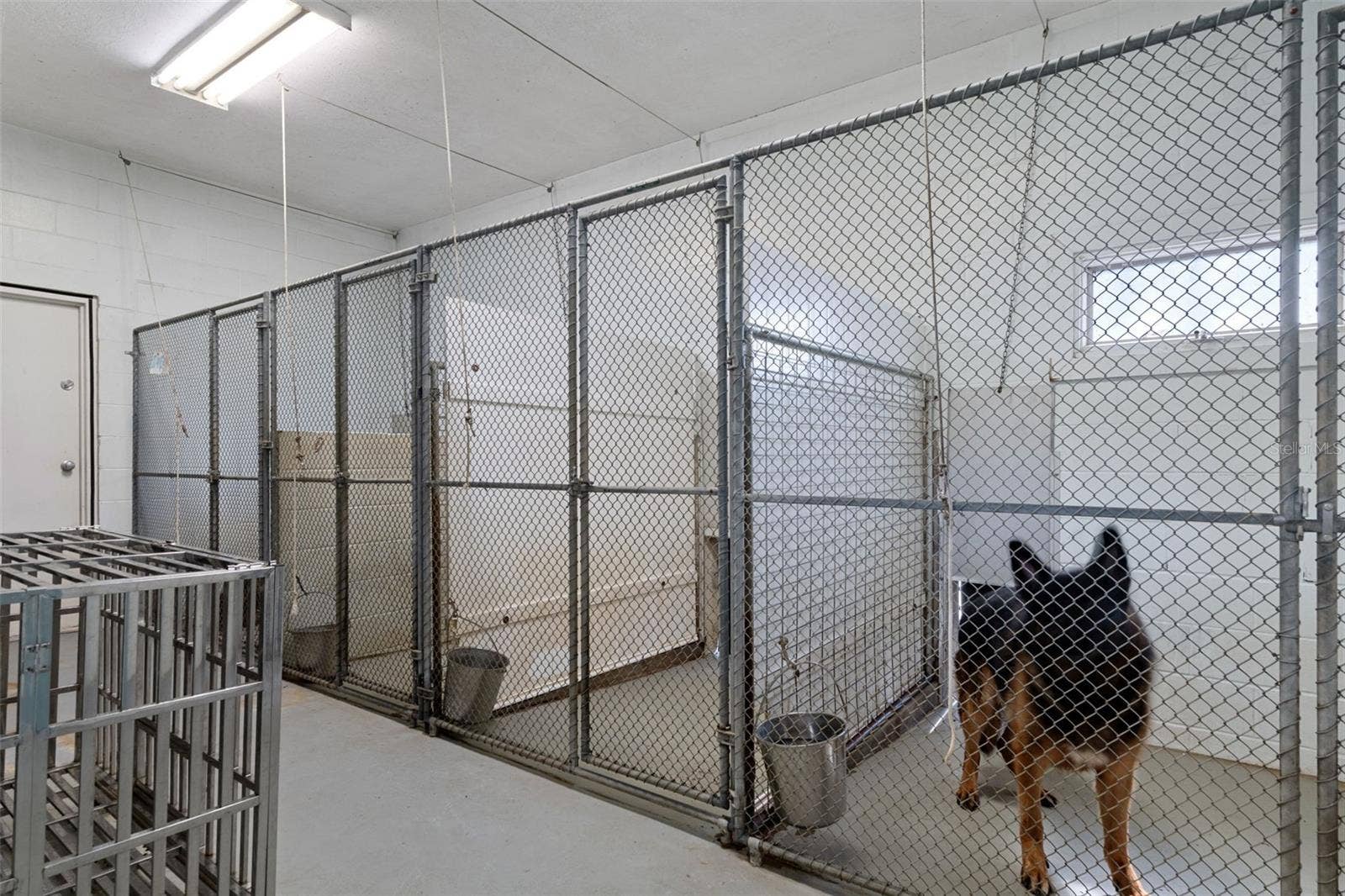 Kennel
