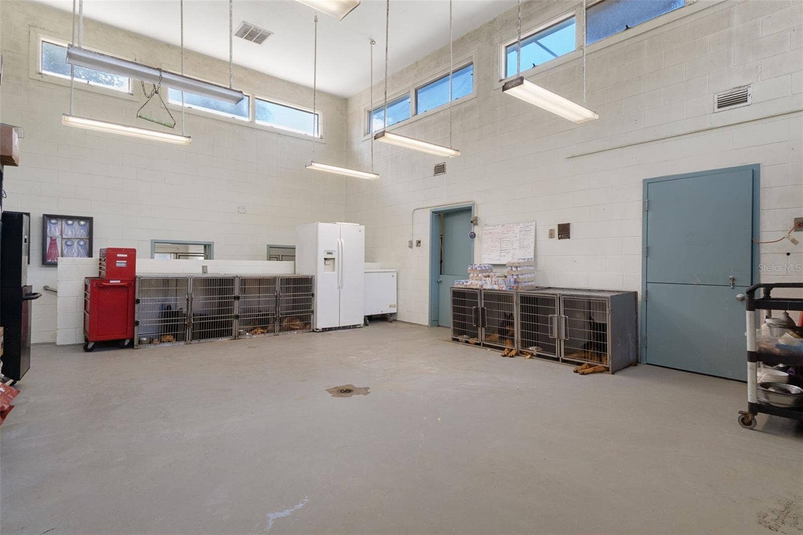 Kennel