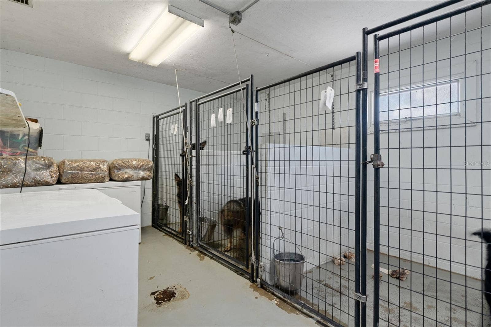 Kennel