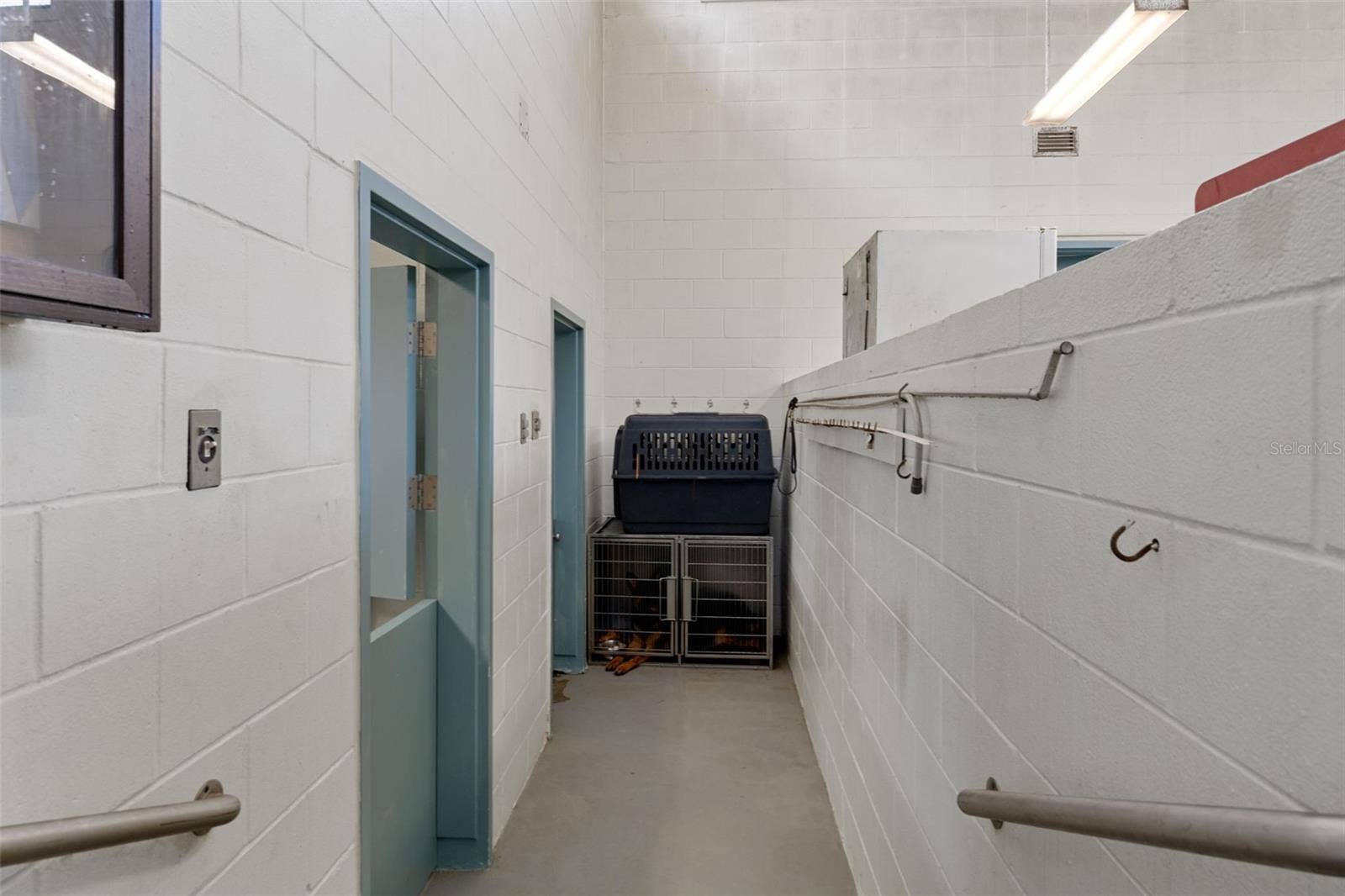 Kennel