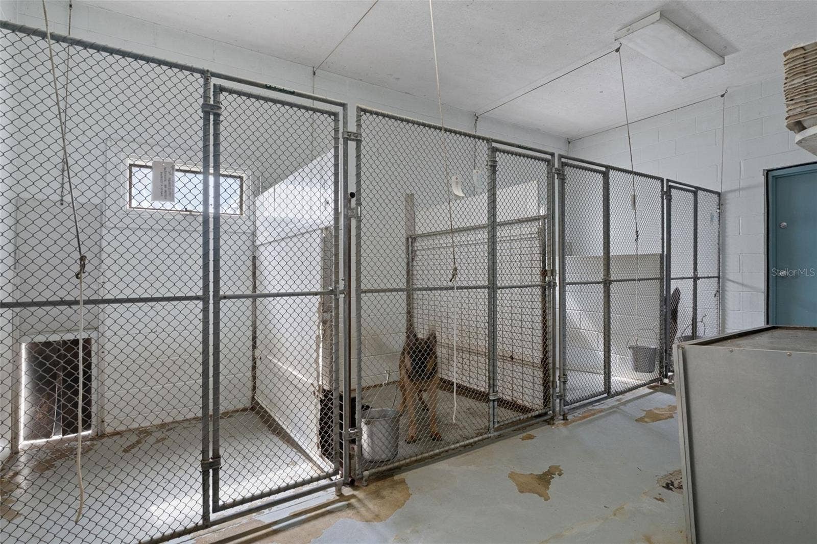 Kennel
