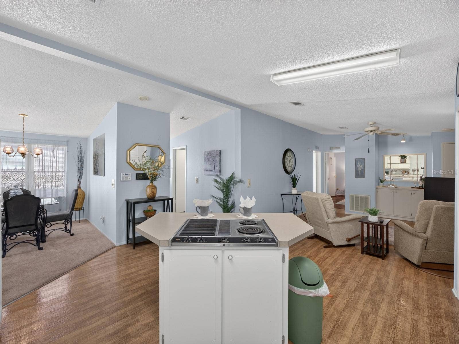 660 RAINBOW BOULEVARD, The Villages, FL 32159 660 RAINBOW BOULEVARD, The Villages, FL 32159