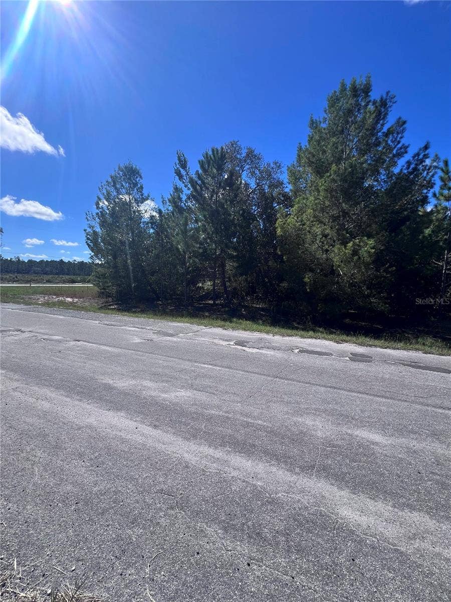 FISHER TERRACE RUN, Ocklawaha, FL 32179