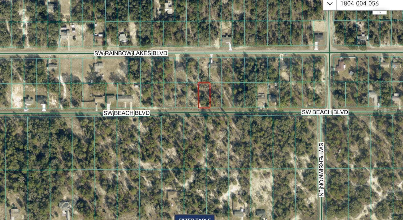 TBD SW BEACH BOULEVARD, Dunnellon, FL 34431