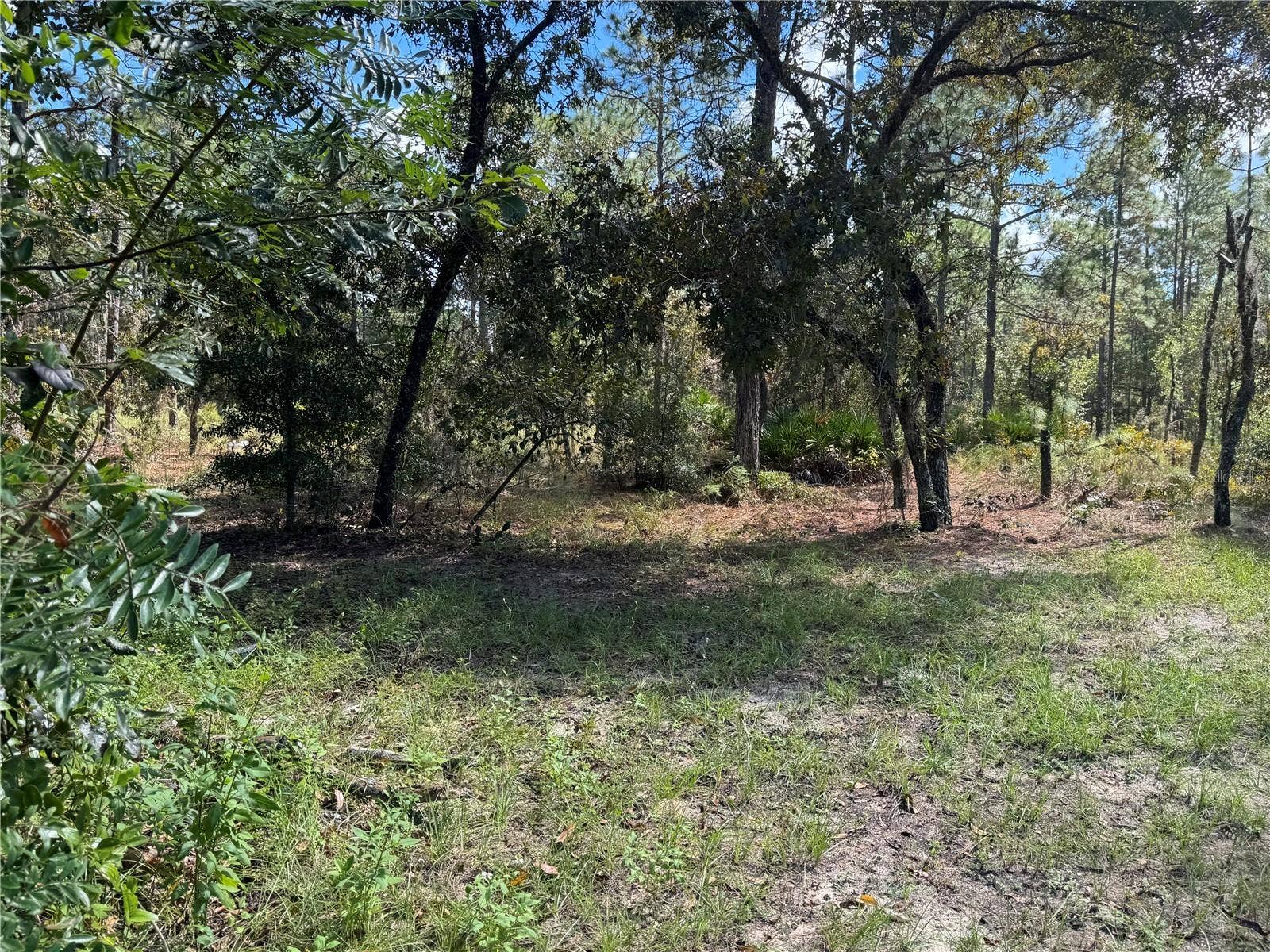 2615 SW 157TH COURT, Ocala, FL 34481 2615 SW 157TH COURT, Ocala, FL 34481