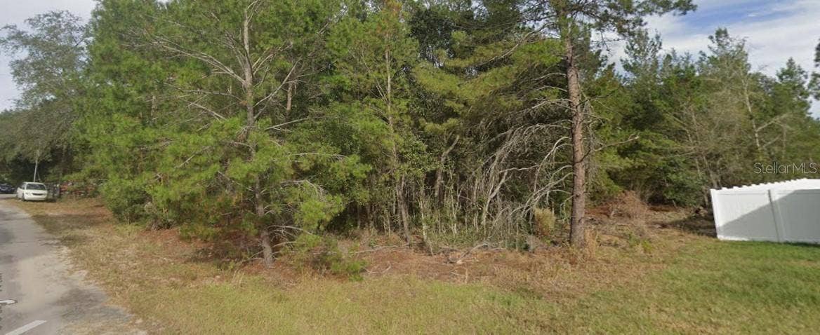 FISHER WAY TRAIL, Ocklawaha, FL 32179 FISHER WAY TRAIL, Ocklawaha, FL 32179