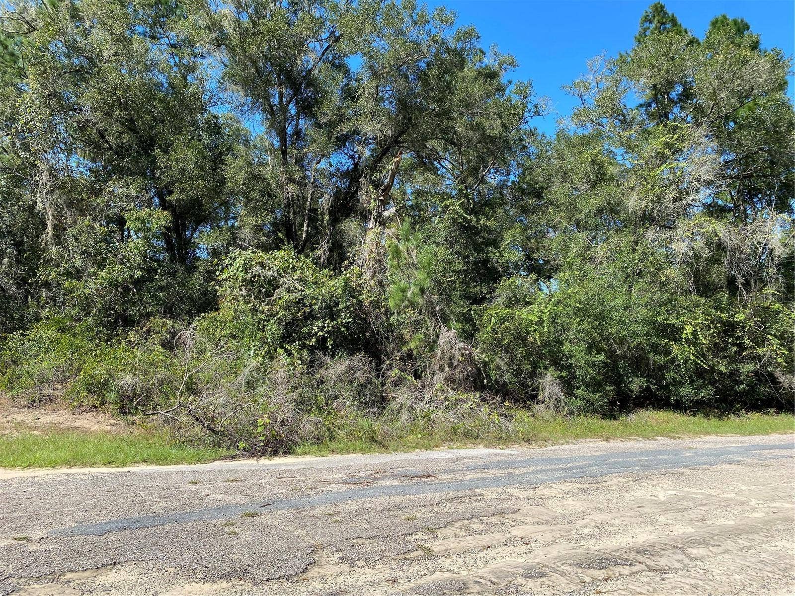 445 E PANAMA DRIVE, Citrus Springs, FL 34434 445 E PANAMA DRIVE, Citrus Springs, FL 34434