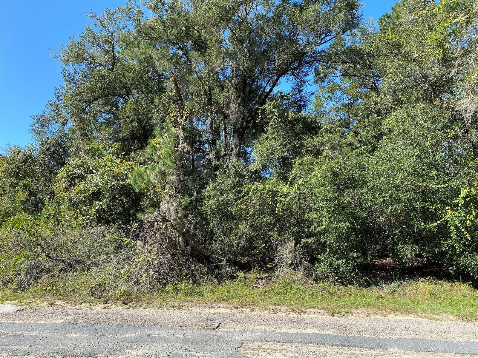 445 E PANAMA DRIVE, Citrus Springs, FL 34434 445 E PANAMA DRIVE, Citrus Springs, FL 34434