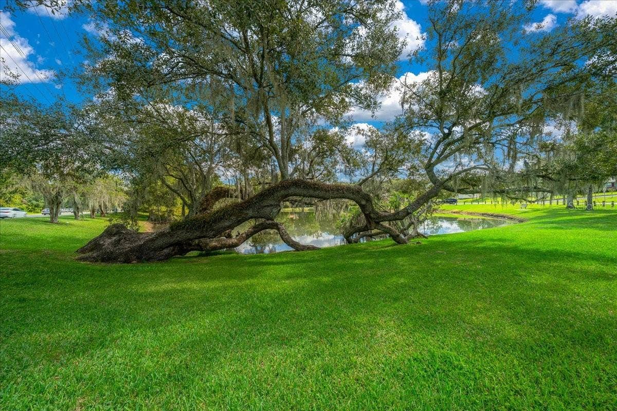 1335 SE 18TH STREET, Ocala, FL 34471 1335 SE 18TH STREET, Ocala, FL 34471