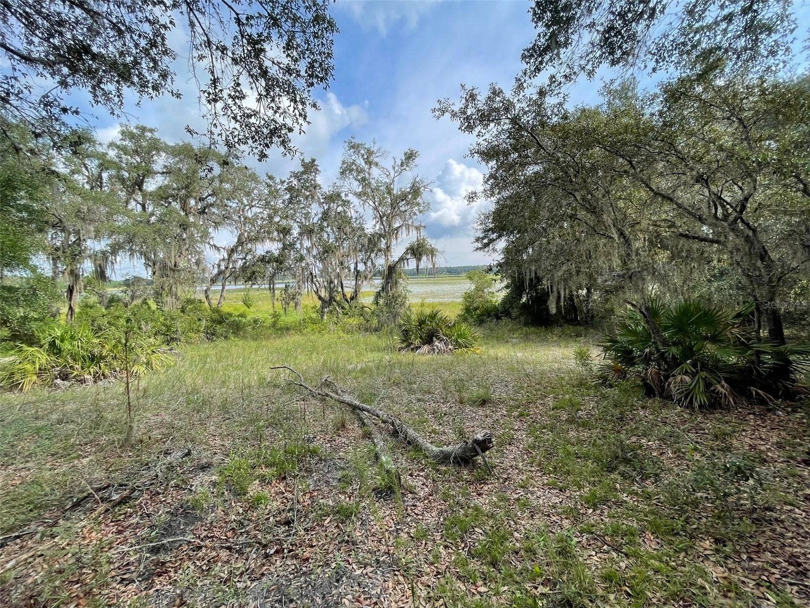 LOTS 462 & 463 SW SHOREWOOD DRIVE, Dunnellon, FL 34431 LOTS 462 & 463 SW SHOREWOOD DRIVE, Dunnellon, FL 34431