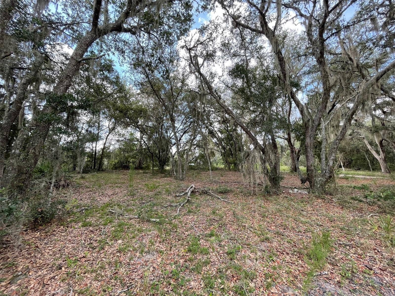 LOTS 462 & 463 SW SHOREWOOD DRIVE, Dunnellon, FL 34431 LOTS 462 & 463 SW SHOREWOOD DRIVE, Dunnellon, FL 34431