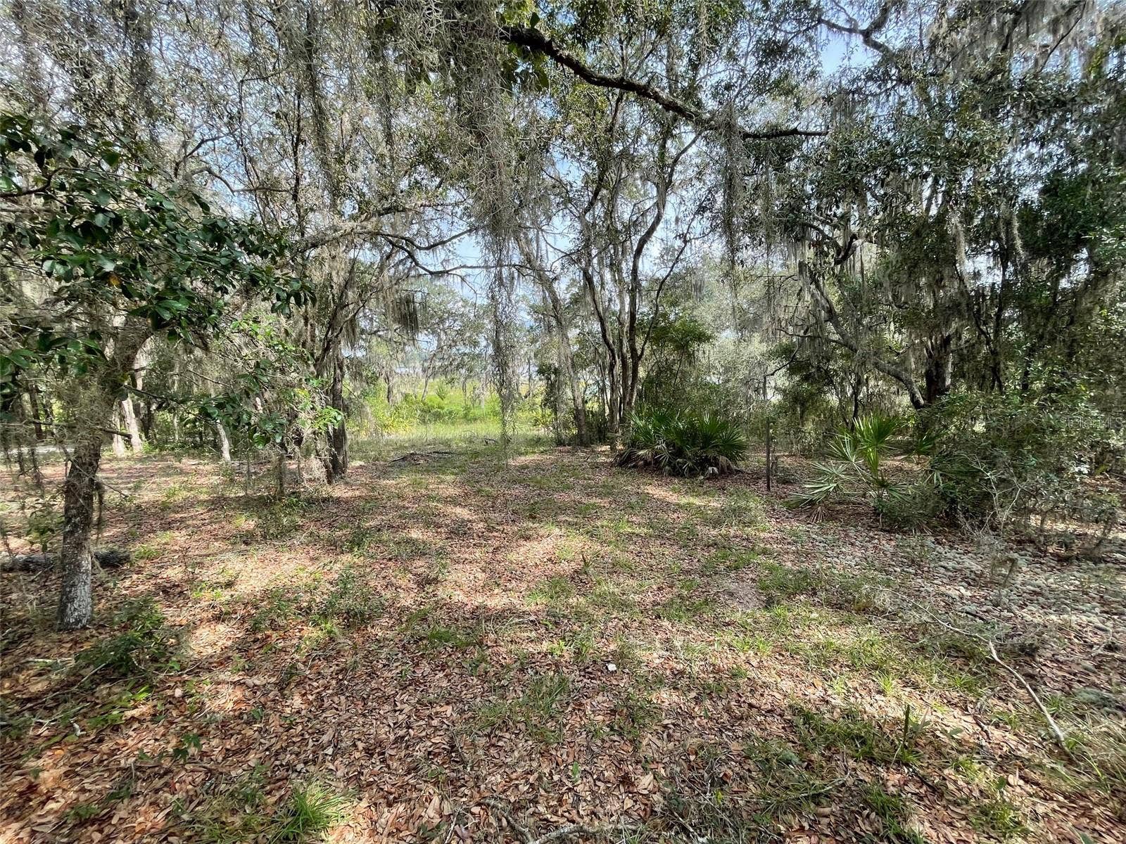 LOTS 462 & 463 SW SHOREWOOD DRIVE, Dunnellon, FL 34431 LOTS 462 & 463 SW SHOREWOOD DRIVE, Dunnellon, FL 34431