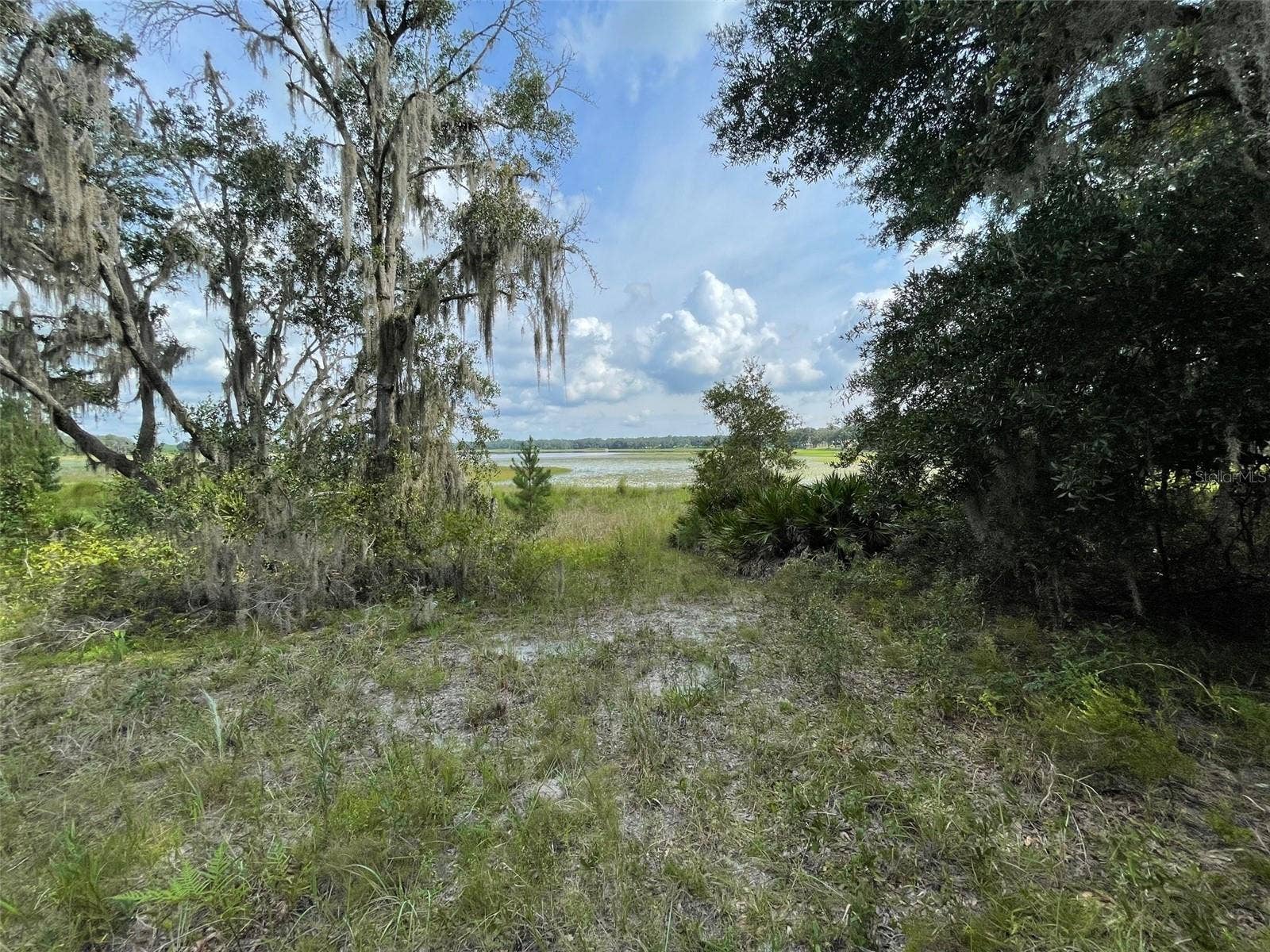 LOTS 462 & 463 SW SHOREWOOD DRIVE, Dunnellon, FL 34431 LOTS 462 & 463 SW SHOREWOOD DRIVE, Dunnellon, FL 34431