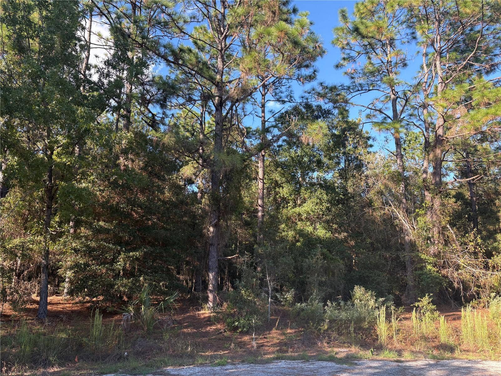 1742 W MESA VERDE DRIVE, Beverly Hills, FL 34465 1742 W MESA VERDE DRIVE, Beverly Hills, FL 34465