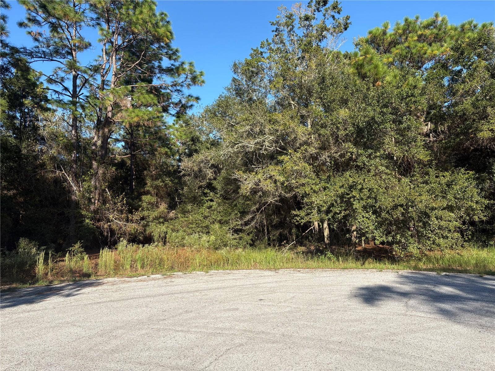 1742 W MESA VERDE DRIVE, Beverly Hills, FL 34465 1742 W MESA VERDE DRIVE, Beverly Hills, FL 34465