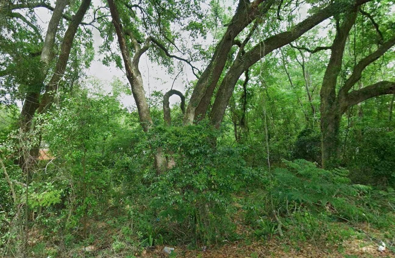 Lot 64 NE 162 STREET, Citra, FL 32113
