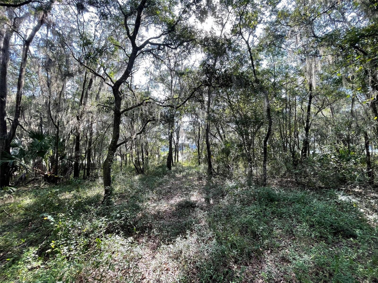 LOTS 13 & 14 SW SHOREWOOD DRIVE, Dunnellon, FL 34431 LOTS 13 & 14 SW SHOREWOOD DRIVE, Dunnellon, FL 34431