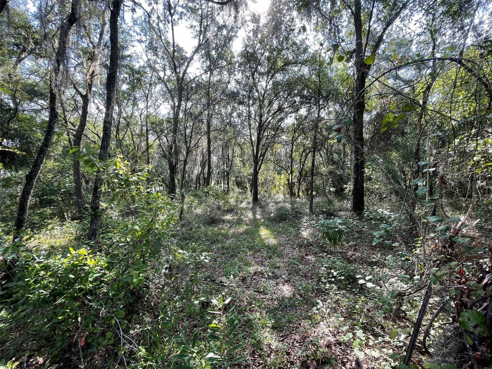 LOTS 13 & 14 SW SHOREWOOD DRIVE, Dunnellon, FL 34431 LOTS 13 & 14 SW SHOREWOOD DRIVE, Dunnellon, FL 34431
