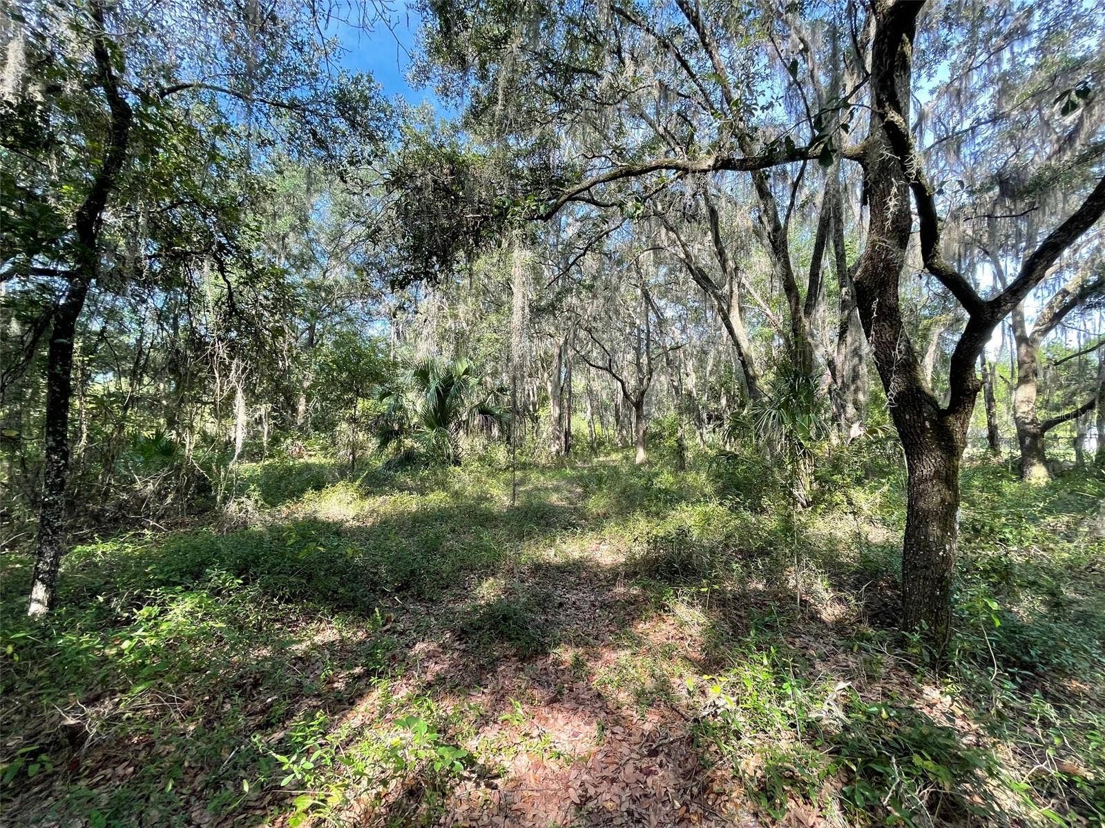 LOTS 13 & 14 SW SHOREWOOD DRIVE, Dunnellon, FL 34431 LOTS 13 & 14 SW SHOREWOOD DRIVE, Dunnellon, FL 34431